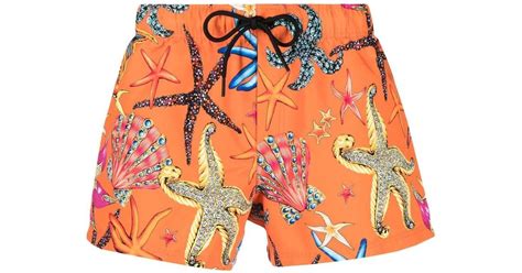 versace starfish print|Versace Starfish Print Cotton Shorts .